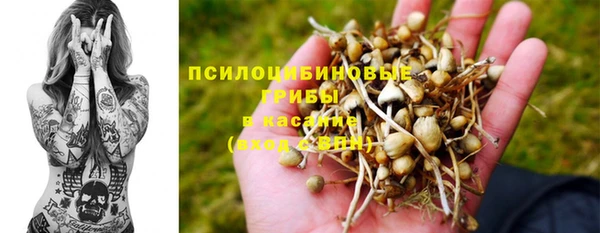 трава Абинск