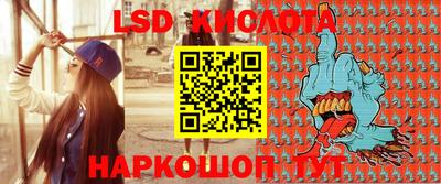apvp Гатчина