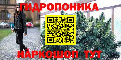 mdma Гай