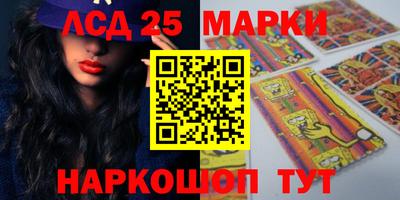 apvp Гатчина