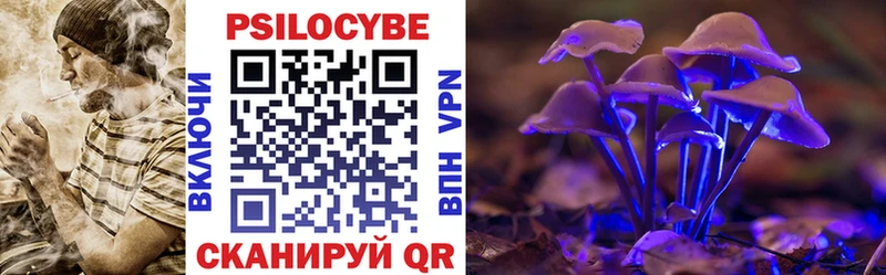 Псилоцибиновые грибы Cubensis Усолье-Сибирское